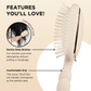 Hairbrush with features highlighted on a beige background