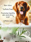 Grace Dog Shampoo - Sulfate Free