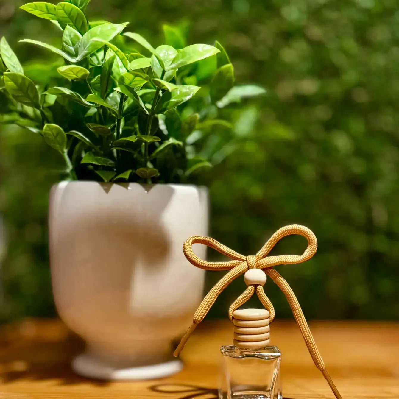Small glass bottle with a decorative bow next to a potted plant on a wooden surface.